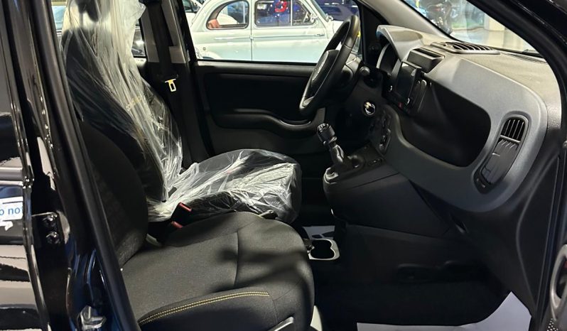 Fiat Pandina km 0 2024 con display 8” pieno