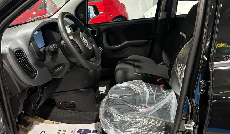Fiat Pandina km 0 2024 con display 8” pieno