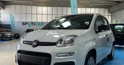 FIAT PANDA ICON HYBRID 2025