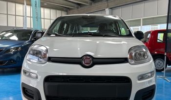 FIAT PANDA ICON HYBRID 2025 pieno