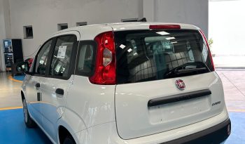 FIAT PANDA ICON HYBRID 2025 pieno