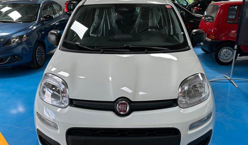 FIAT PANDA ICON HYBRID 2025 pieno