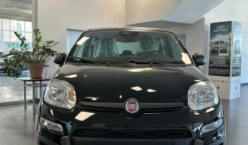 FIAT PANDA hybrid ICON 2025 pieno