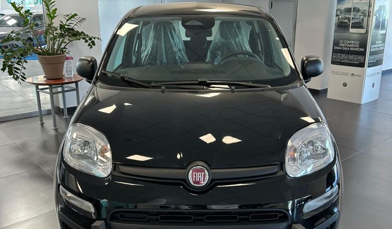 FIAT PANDA hybrid ICON 2025 pieno