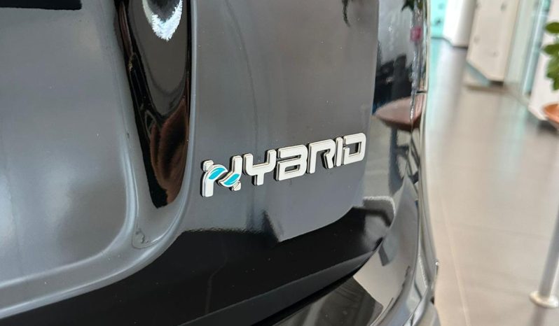 FIAT PANDA hybrid ICON 2025 pieno