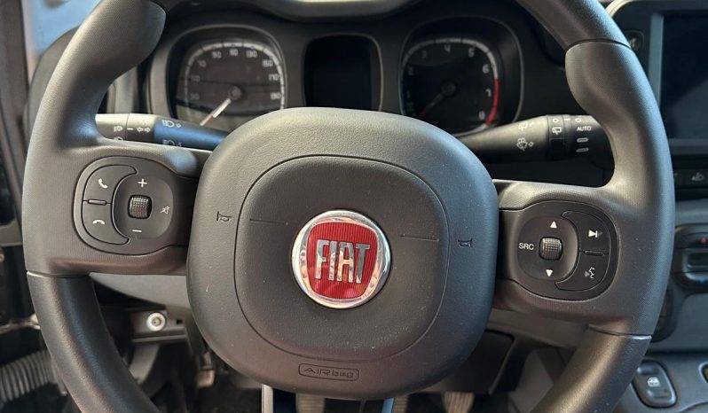 PANDA CROSS 2024 HYBRID pieno