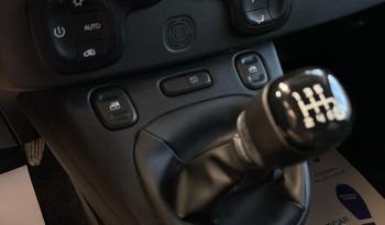 PANDA CROSS 2024 HYBRID pieno