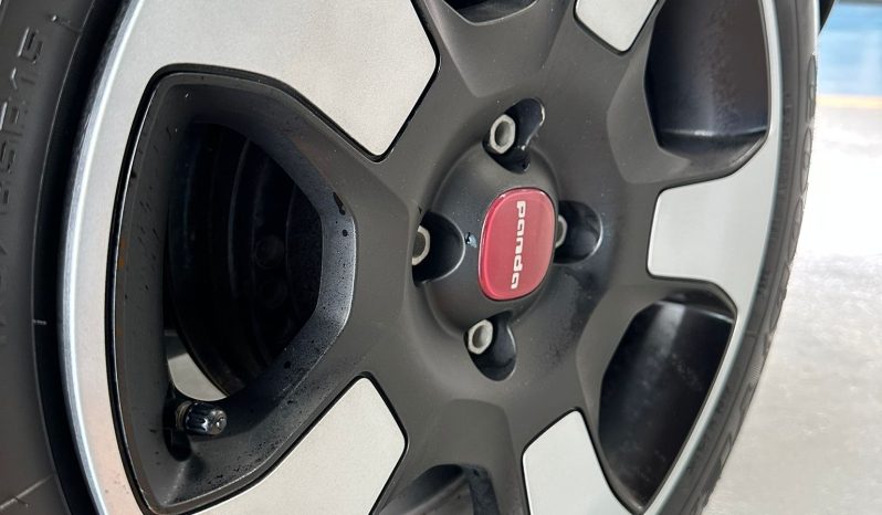 PANDA CROSS 2024 pieno