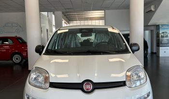 PANDA HYBRID ICON pieno