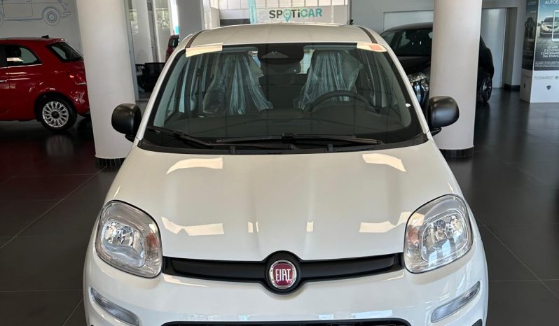 PANDA HYBRID ICON pieno