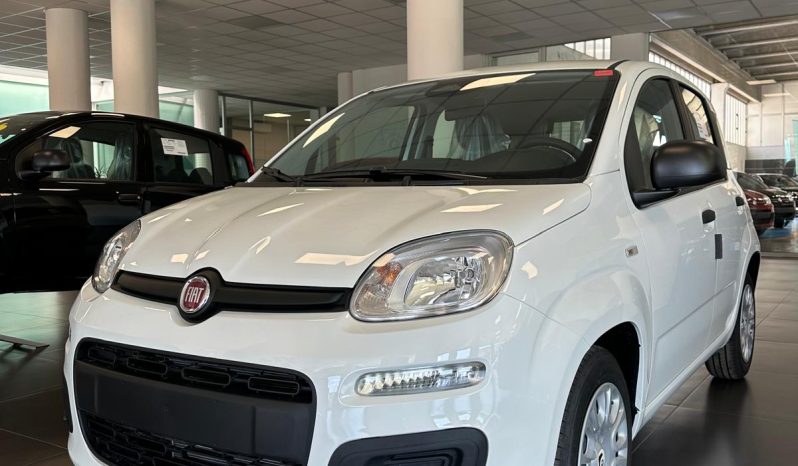 PANDA HYBRID ICON pieno