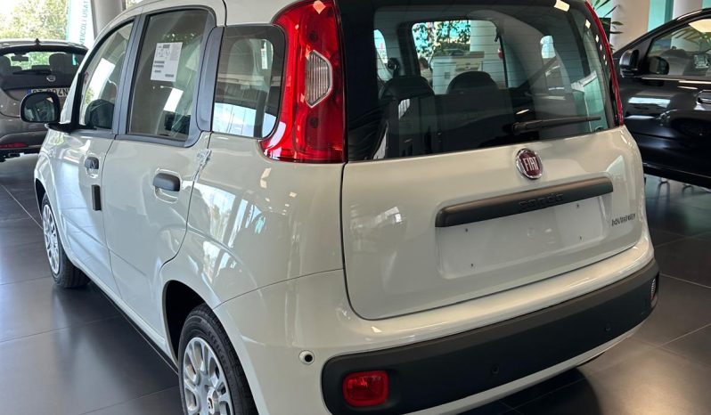 PANDA HYBRID ICON pieno