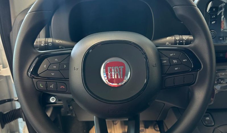 PANDA HYBRID ICON pieno