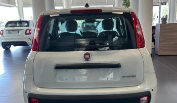 PANDA HYBRID ICON pieno