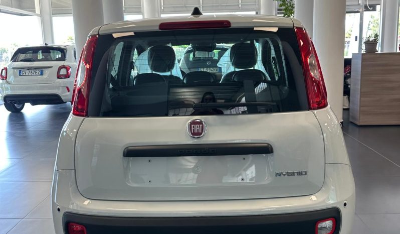 PANDA HYBRID ICON pieno