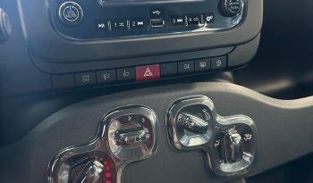 PANDA HYBRID ICON pieno