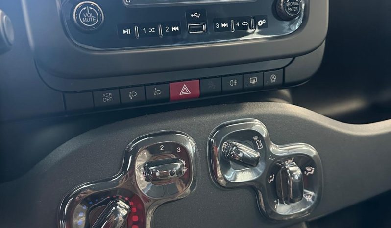 PANDA HYBRID ICON pieno