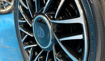 YPSILON PLATINO HYBRID pieno