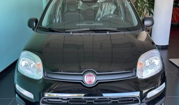 PANDA 2025 KM ZERO pieno