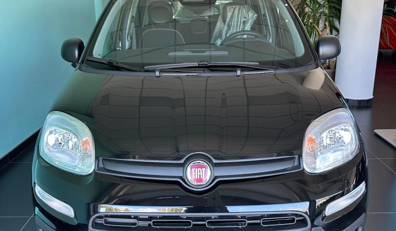 PANDA 2025 KM ZERO pieno