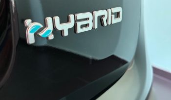 PANDA 2025 KM ZERO pieno