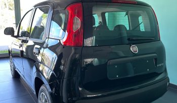 PANDA 2025 KM ZERO pieno