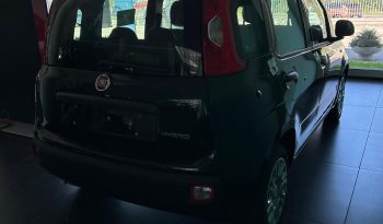 PANDA 2025 KM ZERO pieno