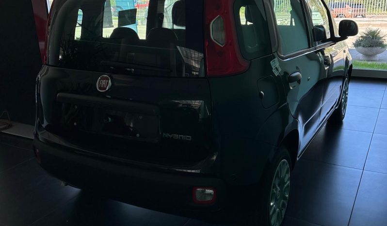 PANDA 2025 KM ZERO pieno
