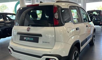 PANDA HYBRID CROSS pieno