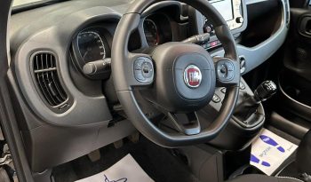 PANDA HYBRID 2024 pieno