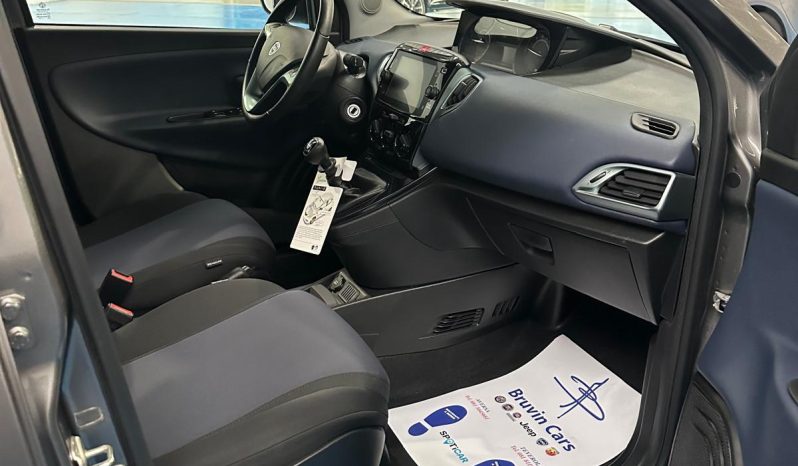 YPSILON PLATINO HYBRID pieno