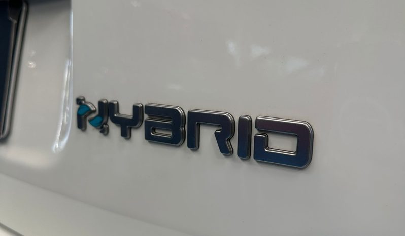 FIAT PANDA HYBRID BENZINA pieno