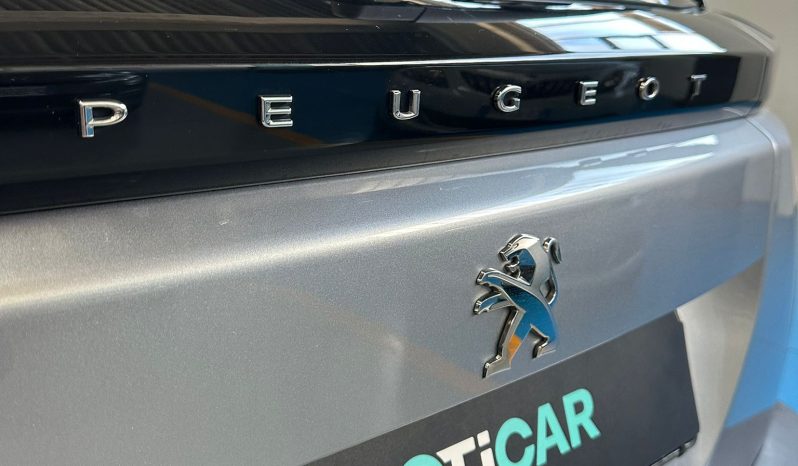 Peugeot 2008 DIESEL pieno