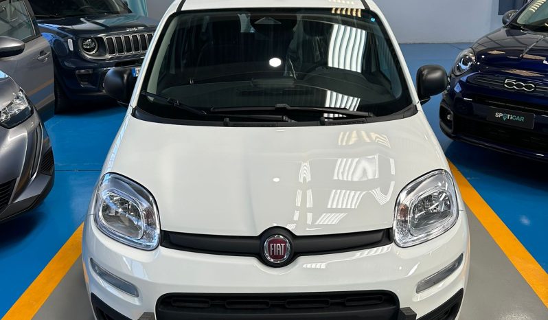 FIAT PANDINA ICON HYBRID pieno