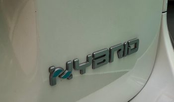 FIAT PANDA CROSS HYBRID pieno