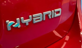 FIAT PANDA CROSS HYBRID pieno