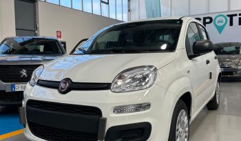 Fiat Pandina Hybrid/Benzina Icon pieno