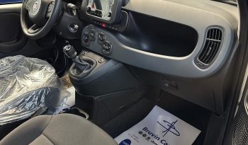 Fiat Pandina Hybrid/Benzina Icon pieno