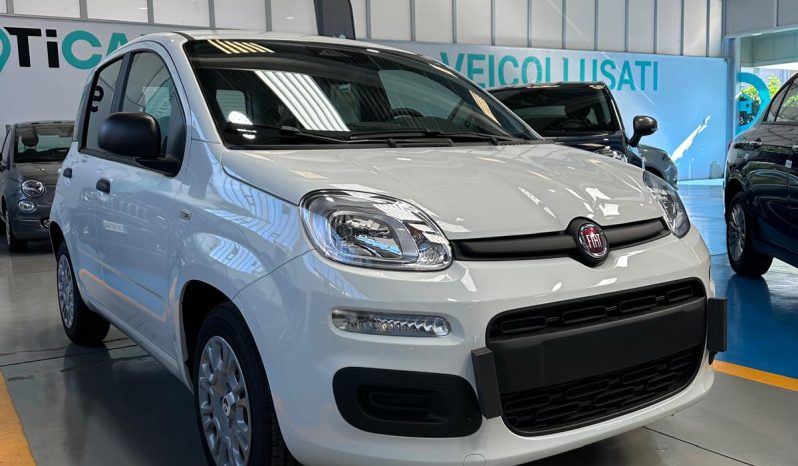 Fiat Pandina Hybrid/Benzina Icon pieno