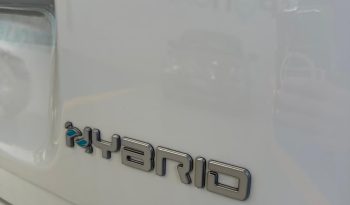 Fiat Pandina Hybrid/Benzina Icon pieno