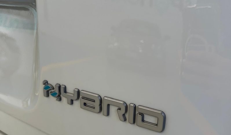Fiat Pandina Hybrid/Benzina Icon pieno