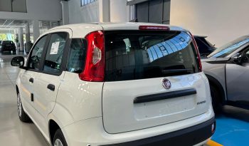 Fiat Pandina Hybrid/Benzina Icon pieno