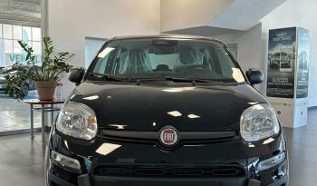 FIAT PANDINA HYBRID ICON pieno