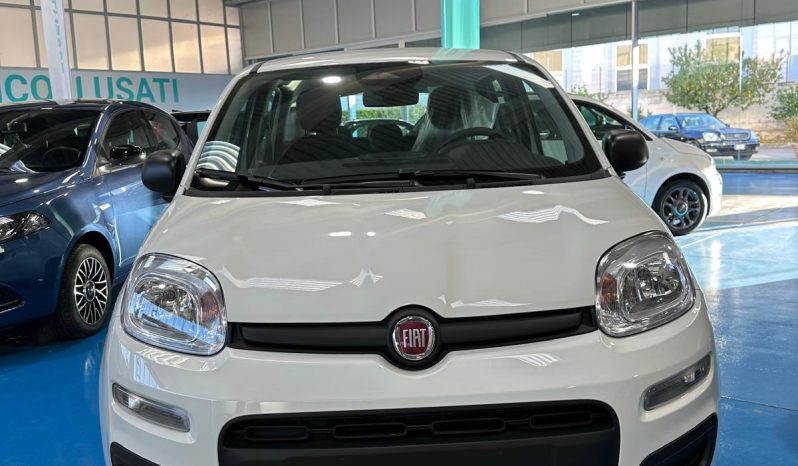 FIAT PANDINA ICON HYBRID 2025 pieno