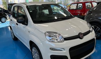 FIAT PANDINA ICON HYBRID 2025 pieno