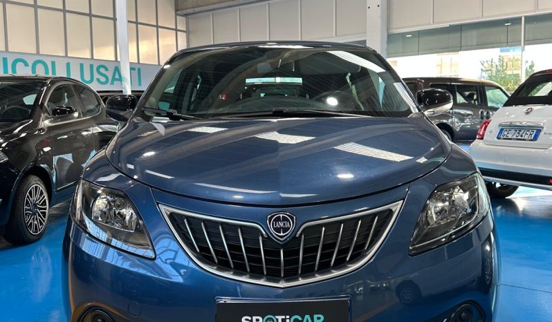 LANCIA Y PLATINO 2024 pieno