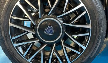 LANCIA Y PLATINO 2024 pieno