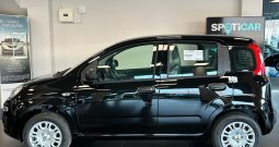 FIAT Panda Hybrid 70CV – KM 0, pronta consegna!