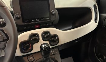 🎉 BLACK FRIDAY EXPLOSIVE DEAL! 🎉 pieno