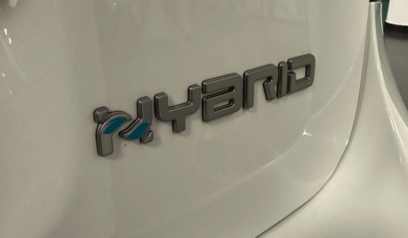 FIAT PANDA CROSS 1.0 HYBRID 70 CV 2024 – ICONA CROSSOVER, EFFICIENTE E PRONTA SUBITO pieno